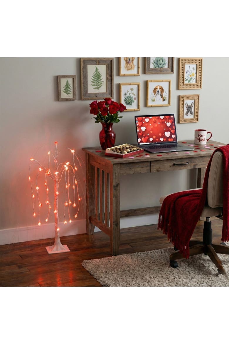 3-ft Pre-Lit Artificial Valentine's Day Willow Tree with 40 Heart Shaped LED Lights, Alternate, color, White