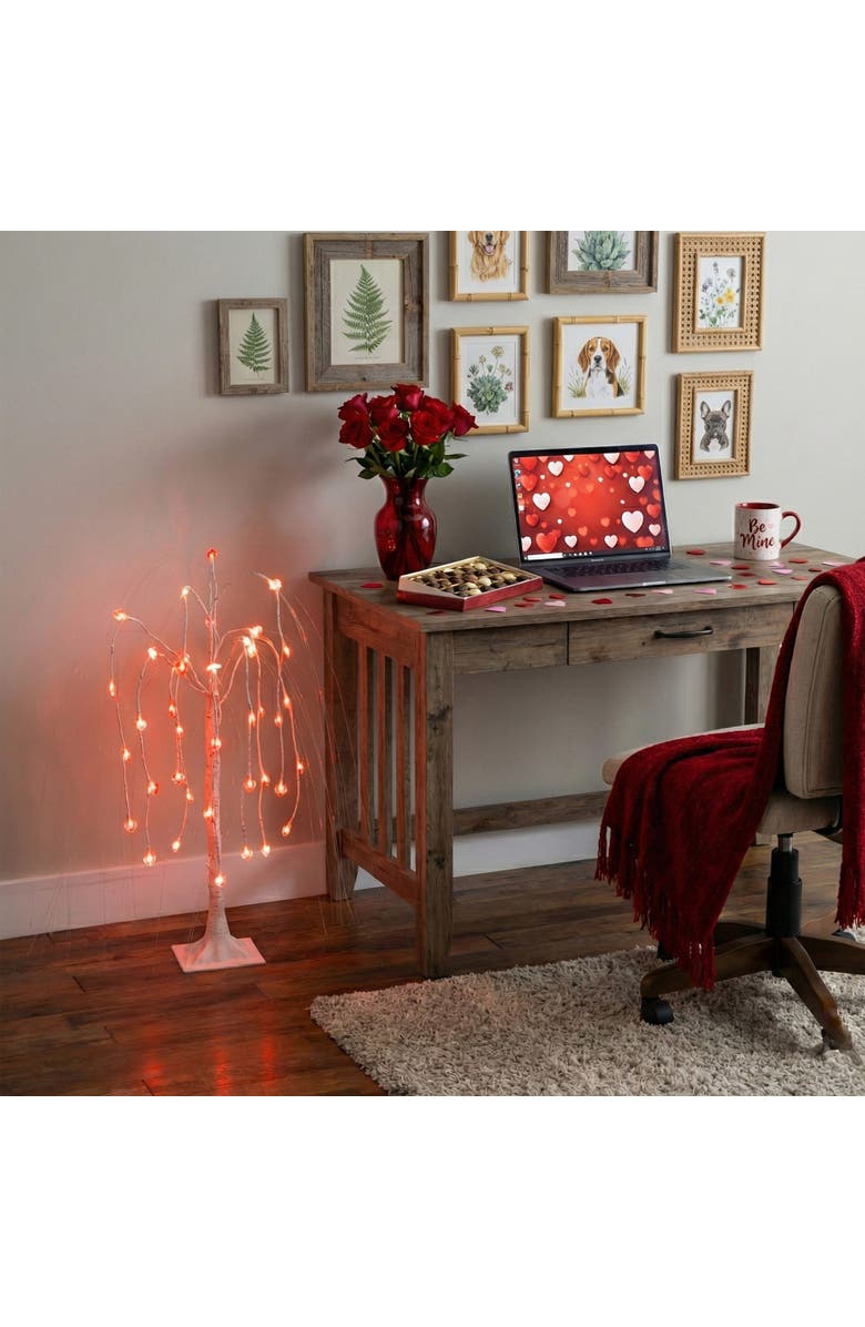 NEARLY NATURAL 3-ft Pre-Lit Artificial Valentine's Day Willow Tree with 40 Heart Shaped LED Lights, Alternate, color, White