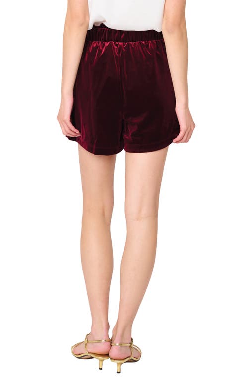 Gibsonlook Velvet Shorts In Brown