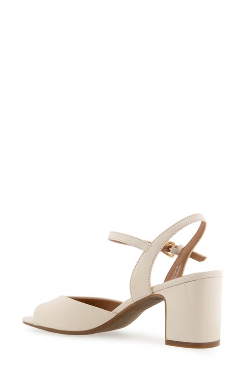AEROSOLES AEROSOLES GERDA ANKLE STRAP SANDAL 