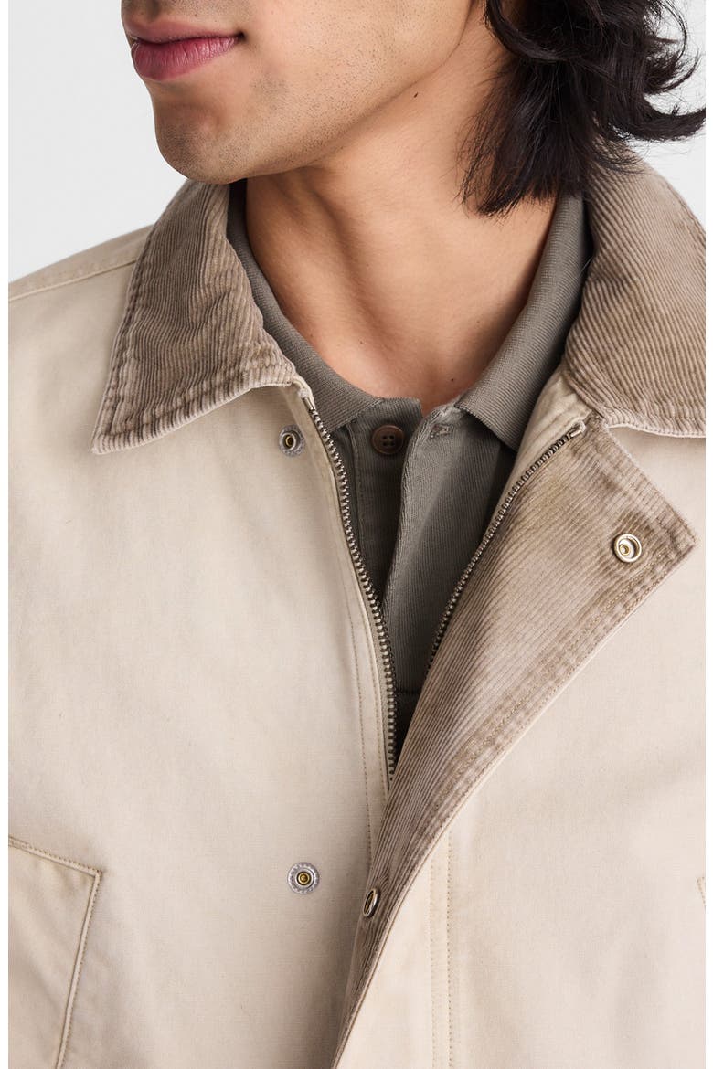 Canvas Field Jacket, Alternate, color, SUNFADED SAGE
