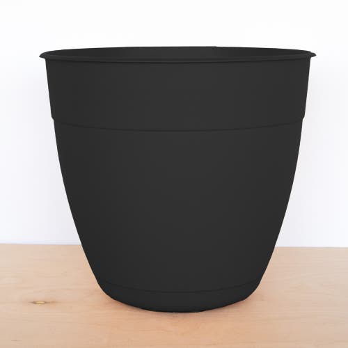Bloem Dayton Gardening Planter With Saucer Tray, 12 Inch W X 11 Inch H Black In Black