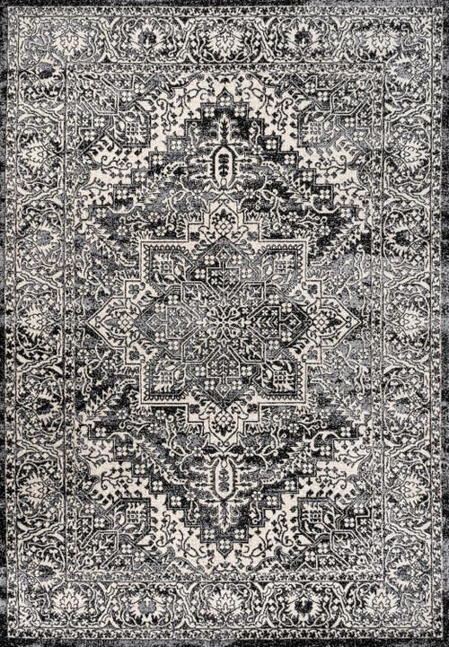 Jonathan Y Modern Persian Vintage Medallion Area Rug In Black