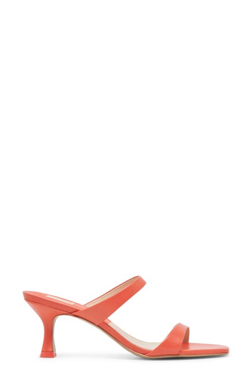 Dolce Vita Genora Slide Sandal