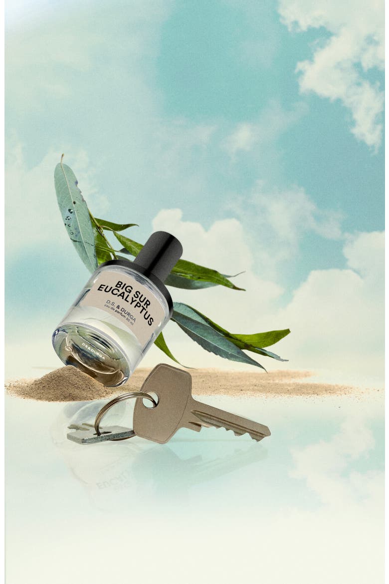 Big Sur Eucalyptus Eau de Parfum, Alternate, color, NO COLOR