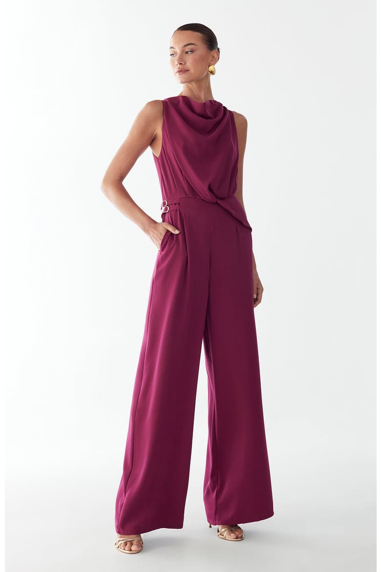 Dalia Jumpsuit, Alternate, color, Plum