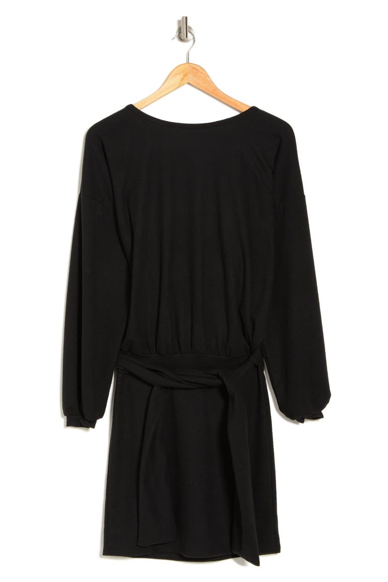 Belted Long Sleeve Drop Waist Dress, Alternate, color, BLACK