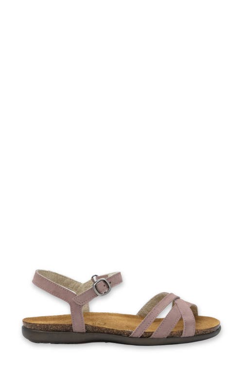 Naot Patricia Sandal In Mauve Nubuck