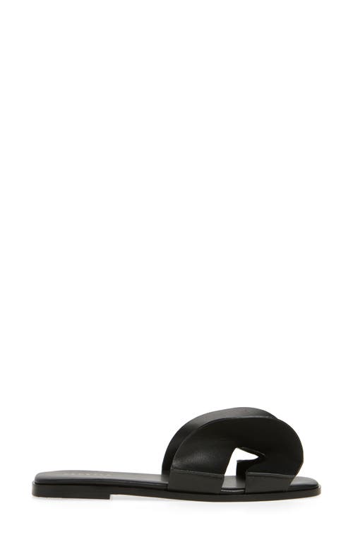 Cecelia New York Wendy Slide Sandal In Black