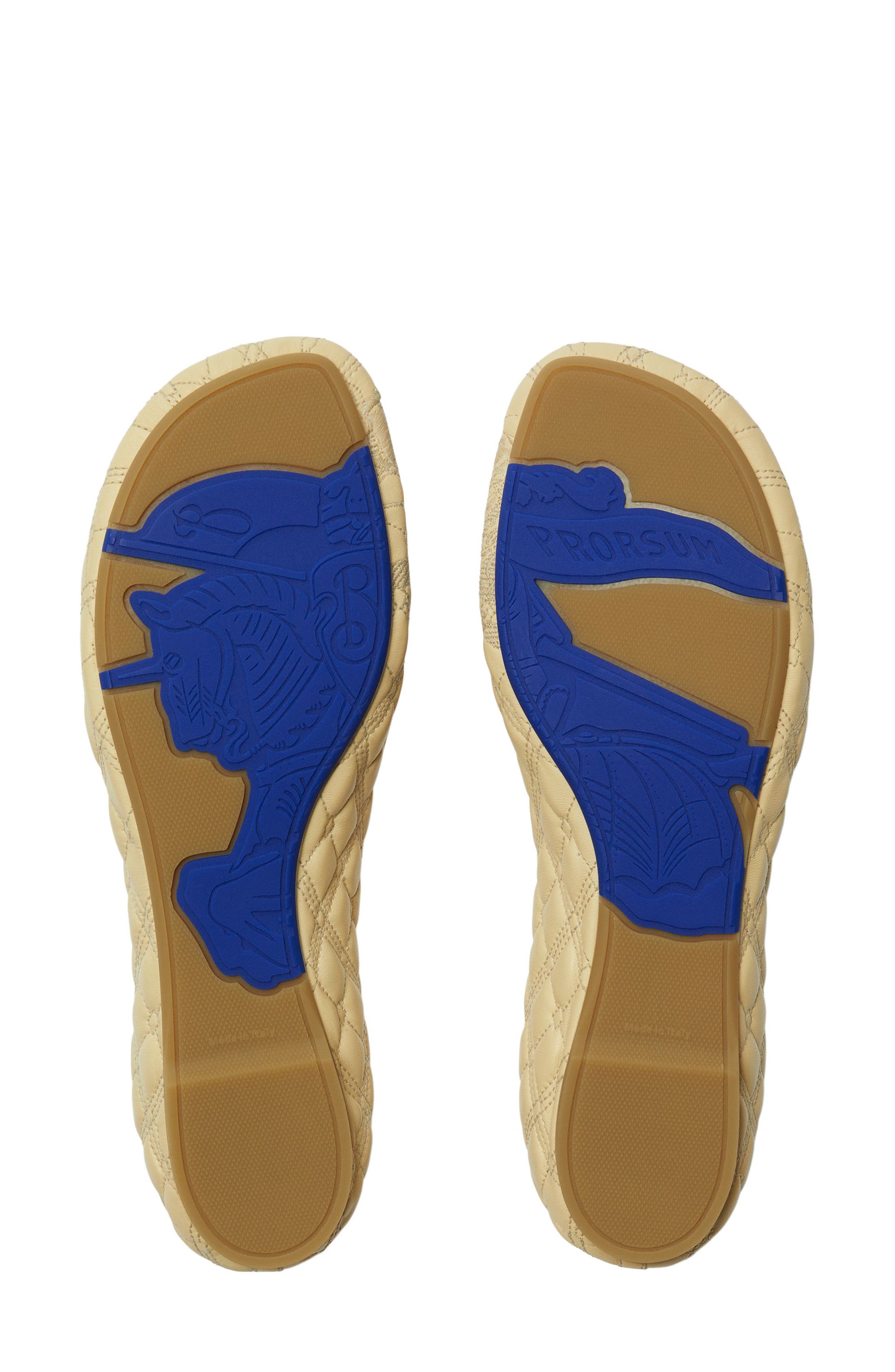 Sadler Embroidered Ballerina Flats, Alternate, color, CLAY