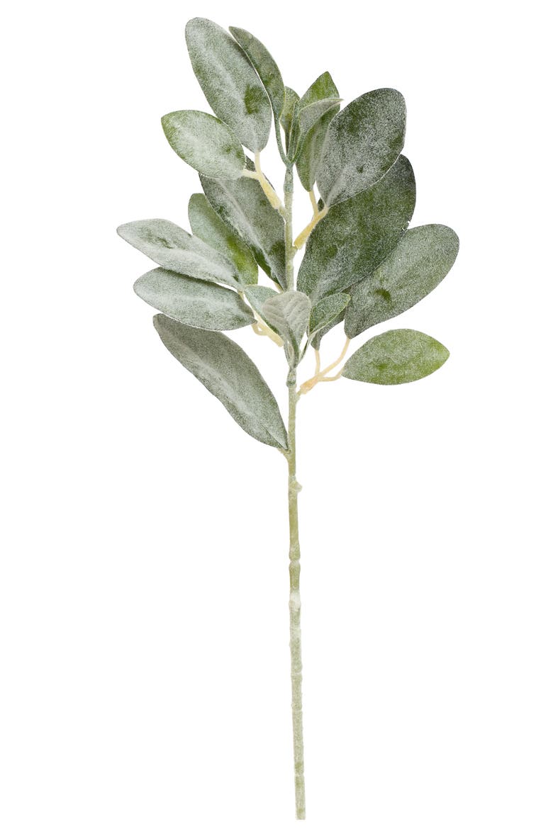 Lambs Ear Leaf Spray, Small, Set of 12, Main, color, Green