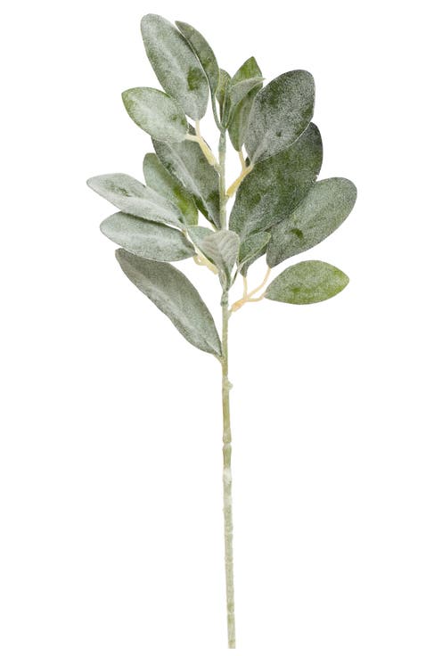Lambs Ear Leaf Spray, Small, Set of 12