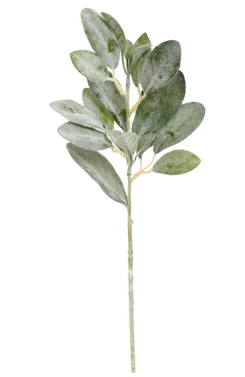 Mark Roberts Lambs Ear Leaf Spray, Small, Set Of 12 In Green