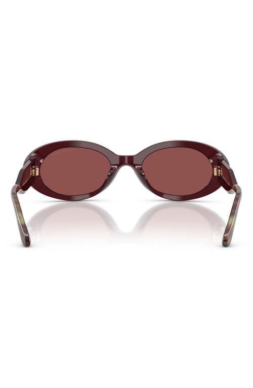 Giorgio Armani 52mm Oval Sunglasses In Brown