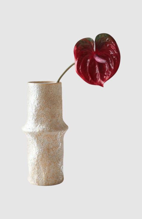 Dark Red Anthurium Flower