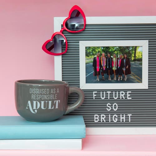 Totalee Gift Responsible Adult Cappuccino Mug Ceramic Grey 24 oz In Gray