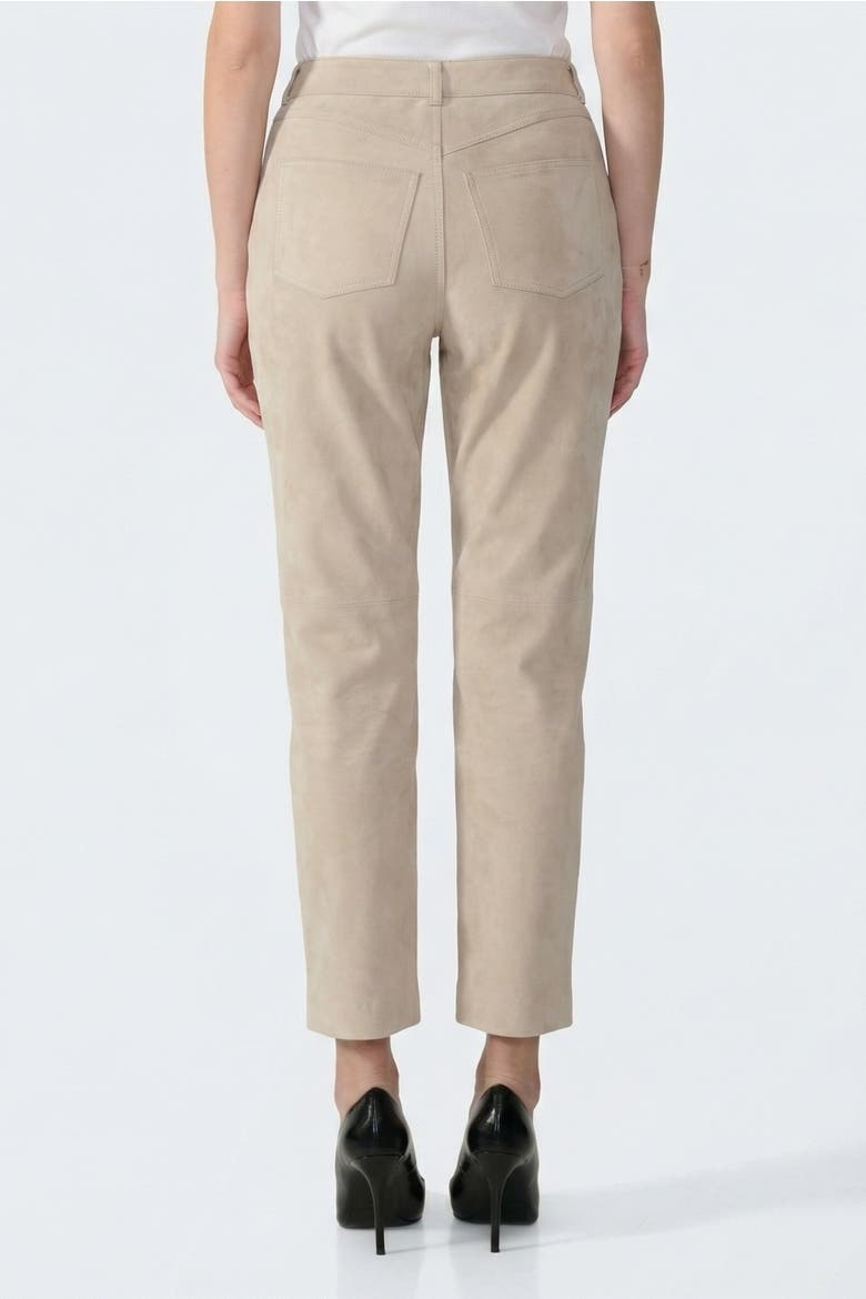 Suede Trousers, Alternate, color, Beige