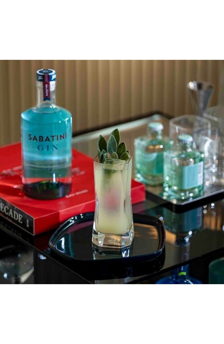 Arnolfo Di Cambio Highball Glass Cibi Set Of 2, Alternate, color, Clear Crystal