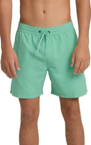 Billabong All Day Layback Swim Trunks