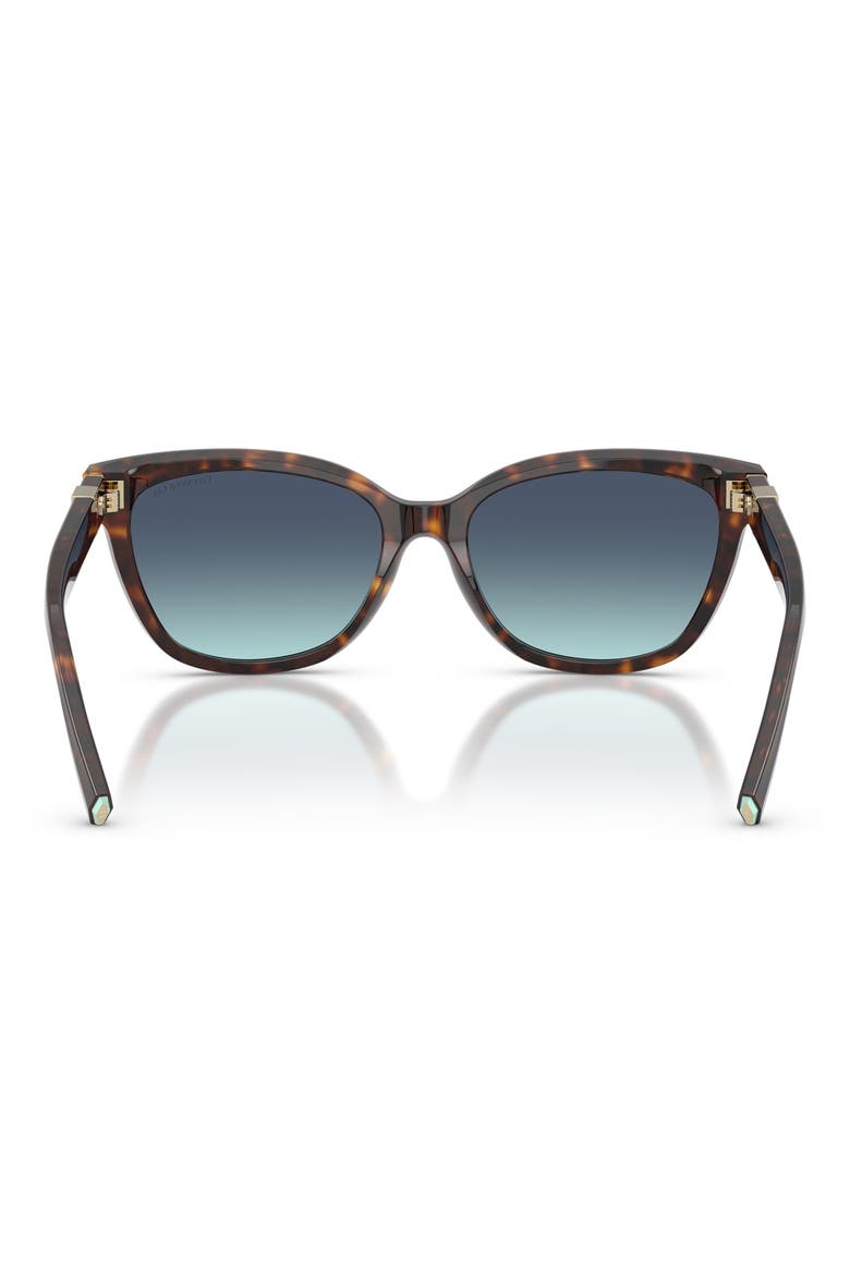 55mm Gradient Cat Eye Sunglasses, Alternate, color, HAVANA / AZURE GRADIENT BLUE