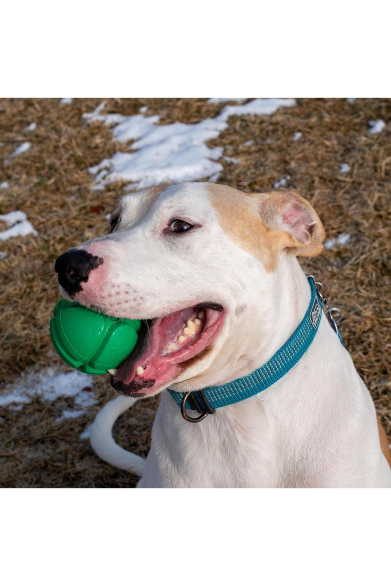 FloTex Ball, Large, 3.25 Inches, Green, Dog Toy, Alternate, color, Green
