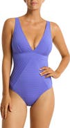 Sea Level Capri Panel Line Multifit One-Piece Swimsuit