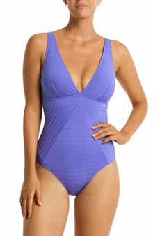 Sea Level Capri Panel Line Multifit One-Piece Swimsuit