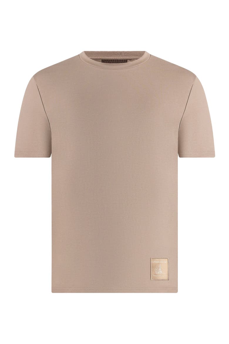 Regular Fit Cotton T-Shirt, Alternate, color, Taupe