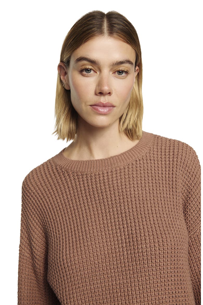 Recy Crewneck Sweater, Alternate, color, HAZELNUT