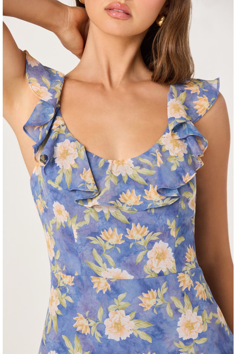 Caroletta Floral Ruffle Maxi Dress, Alternate, color, BLUE FLORAL