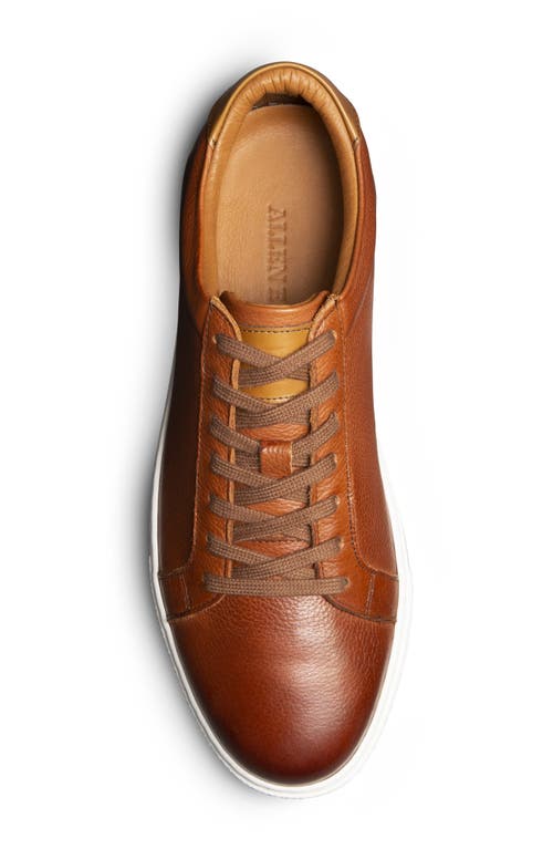 Allen Edmonds Courtside Sneaker In Chili