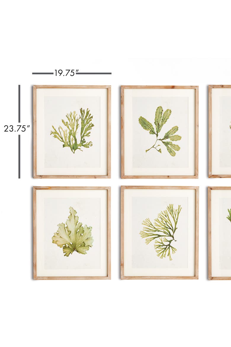 Kelp Prints, Set Of 6, Alternate, color, Green
