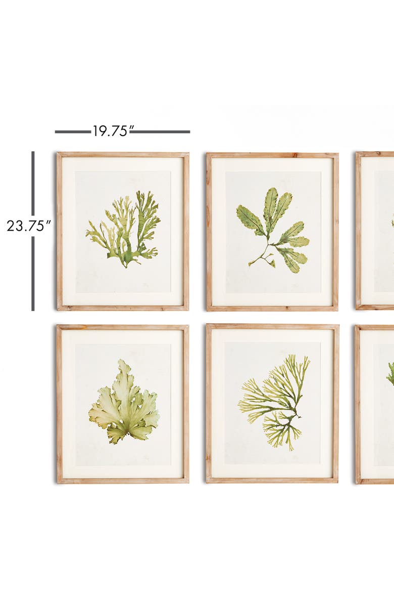 Napa Home & Garden Kelp Prints, Set Of 6, Alternate, color, Green