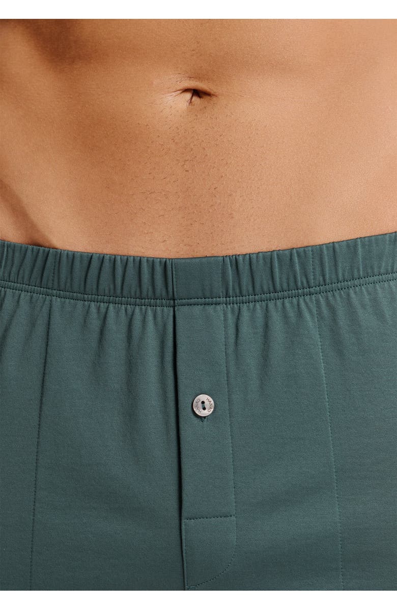 Hanro Cotton Sporty Button Fly Cotton Boxer, Alternate, color, Herbal Tea