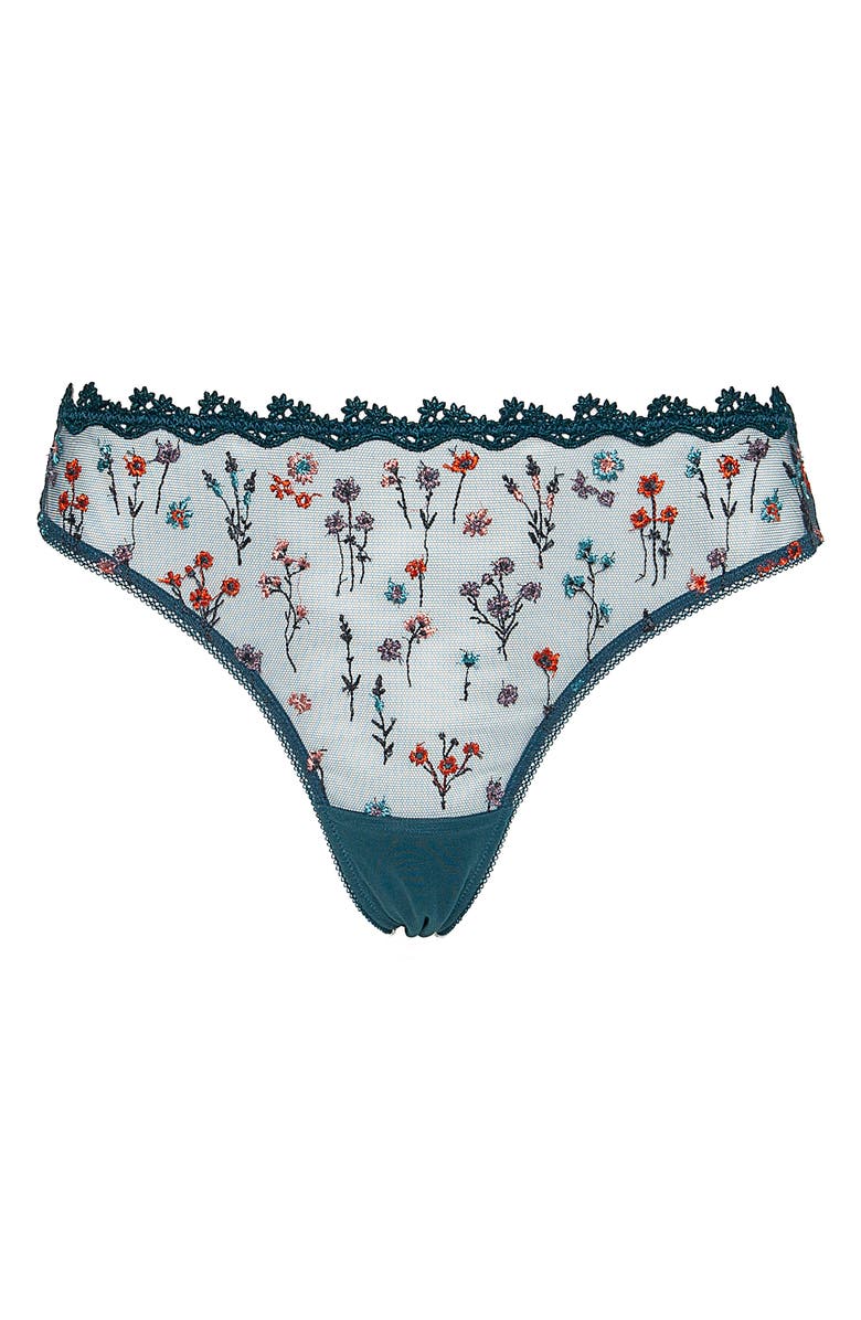 Huit Euphore Tanga, Alternate, color, 