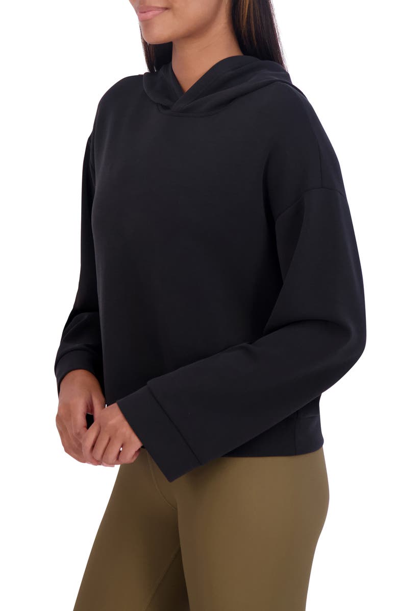 SAGE COLLECTIVE Relaxed Wide Sleeve Crop Hoodie, Alternate, color, 