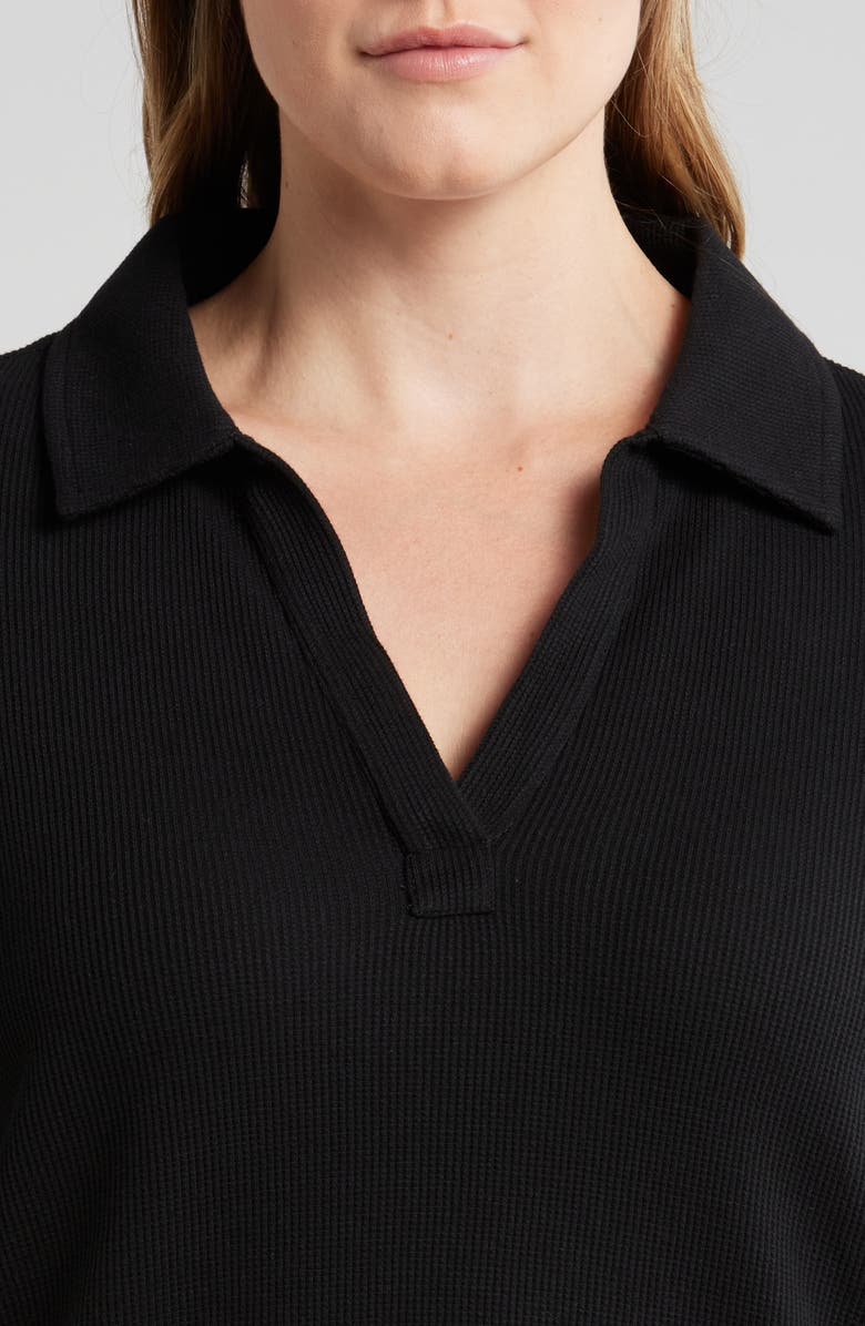 Caslon<sup>®</sup> Johnny Collar Long Sleeve Waffle Knit Top, Alternate, color,