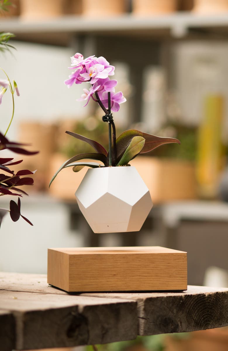 FLYTE Lyfe Levitating Planter, Alternate, color, 