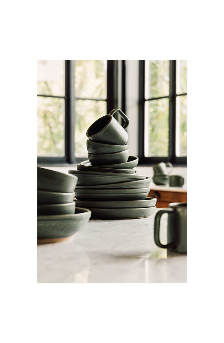 Danica Brands Set of 4 Mosswood Soup Bowl, Alternate, color, Mosswood