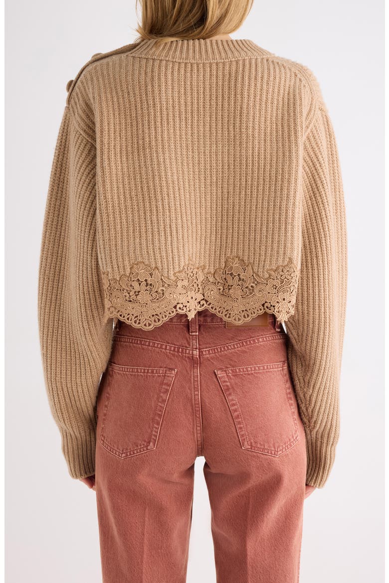 Guipure Lace Hem Wool & Cashmere Crop Sweater, Alternate, color, BLEACHED BROWN