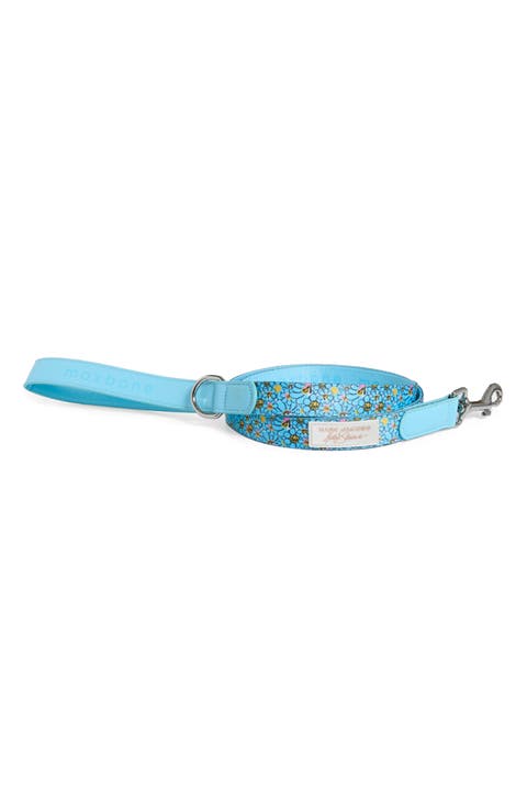 Floral Nylon Webbing Dog Leash