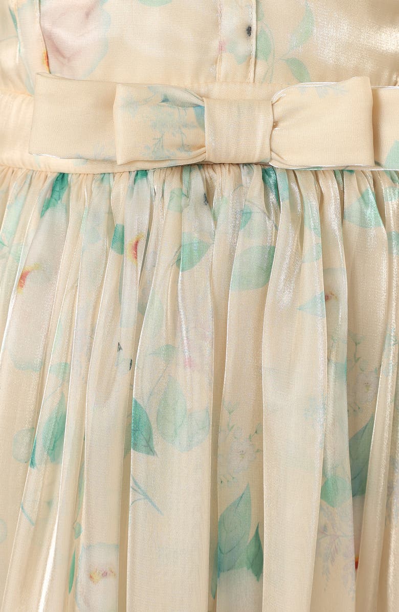 Petal & Pup Freesia Floral Ruffle Maxi Dress, Alternate, color, Cream