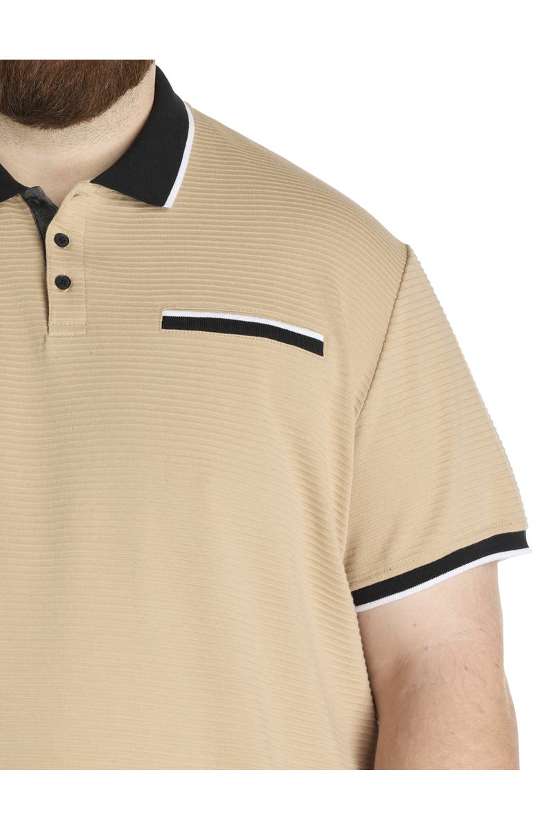 True Nation by DXL Big & Tall Tipped Polo Shirt, Alternate, color, Taupe