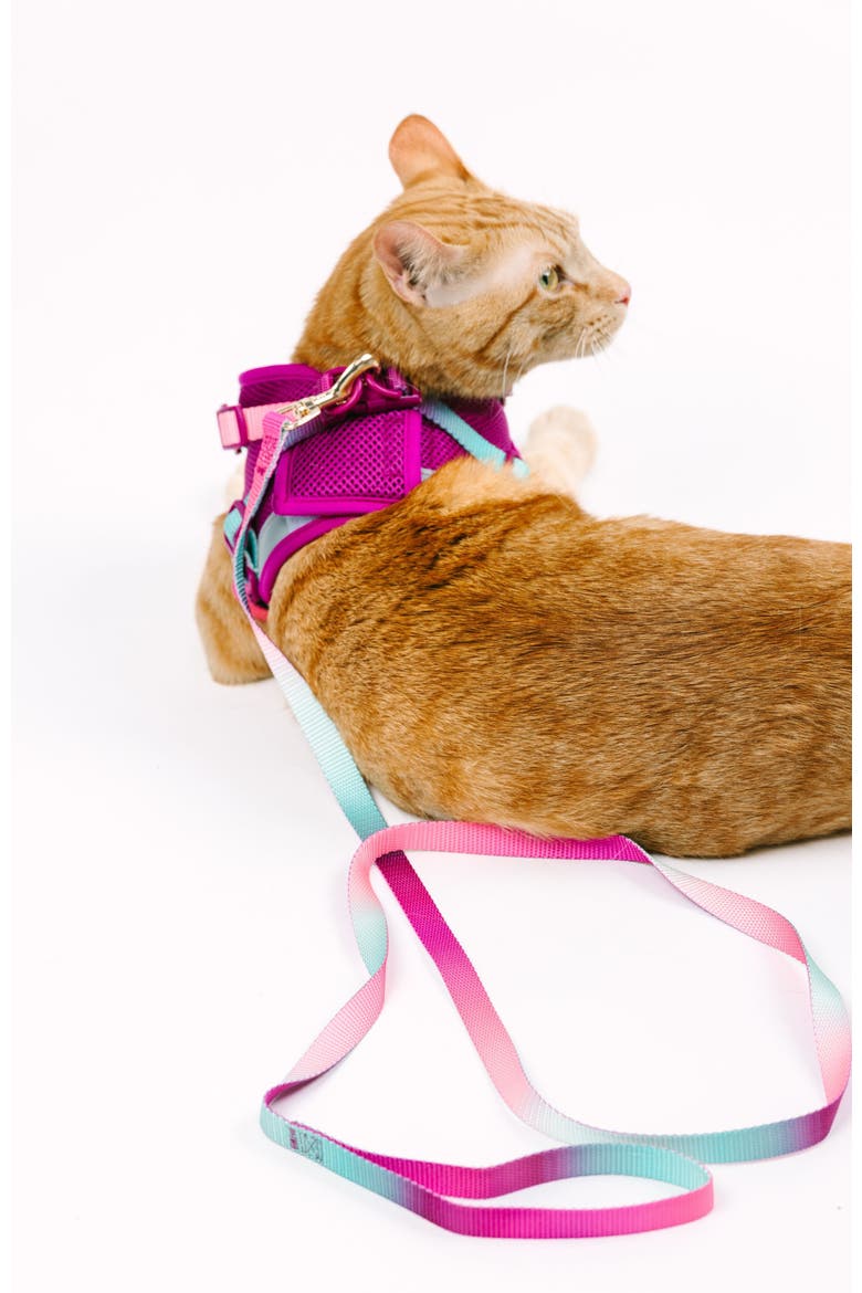 Joana Cat Harness and Leash Set, Alternate, color, Joana