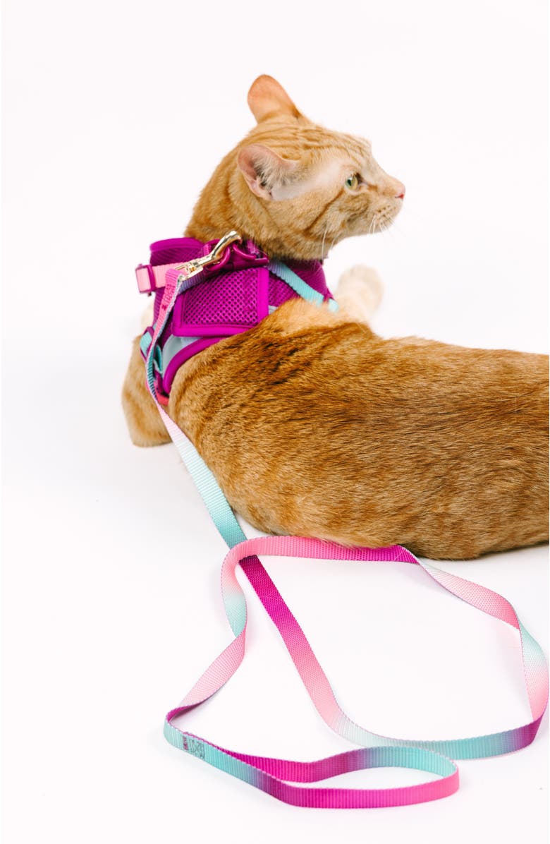 Pink Papyrus Joana Cat Harness and Leash Set, Alternate, color, Joana