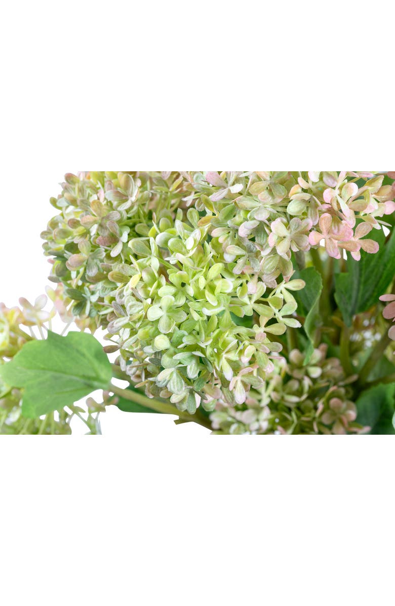 CocoBella Donte Snowball Hydrangea Arrangement, Alternate, color, 