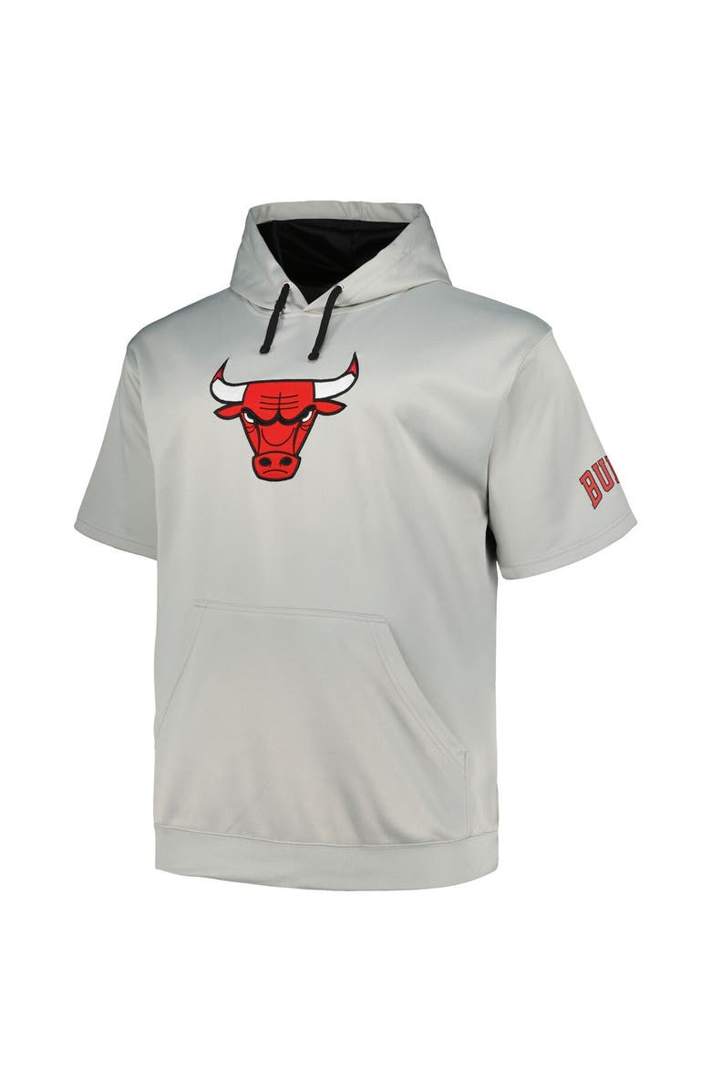 FANATICS Men's Fanatics Branded Silver Chicago Bulls Big & Tall Logo Pullover Hoodie, Alternate, color, Silver