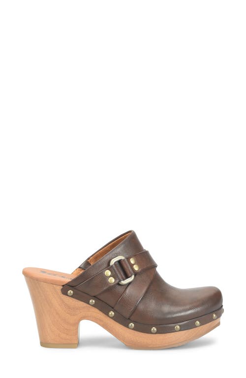 Korks Abby Stud Clog In Brown
