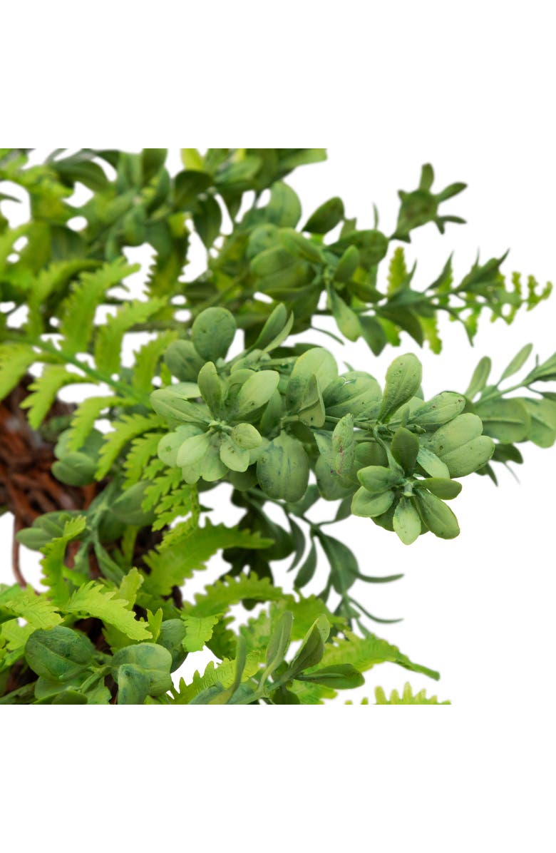 Northlight Fern Leaf Artificial Springtime Wreath - Green - 18", Alternate, color, Green