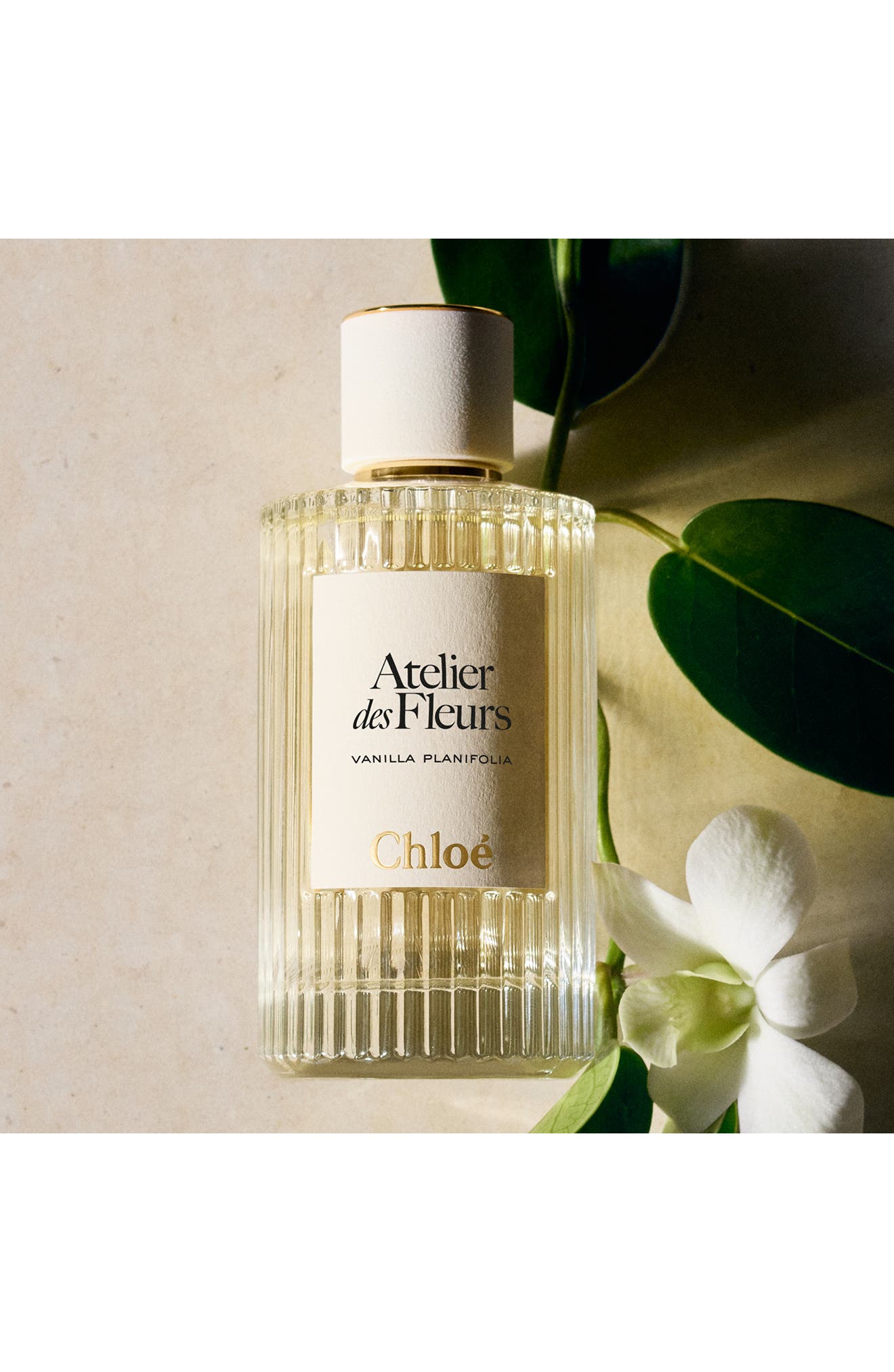 Chloé Atelier des Fleurs Vanilla Planifolia Eau de Parfum (Women